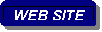Rounded Rectangle: WEB SITE
