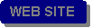 Rounded Rectangle: WEB SITE