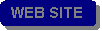 Rounded Rectangle: WEB SITE