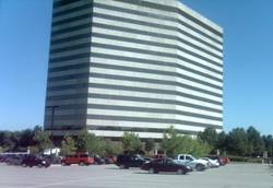 Enlarged view of image