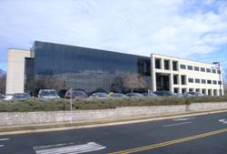 Enlarged view of image