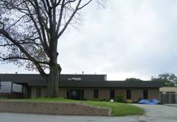 Enlarged view of image