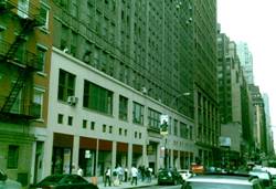 Enlarged view of image