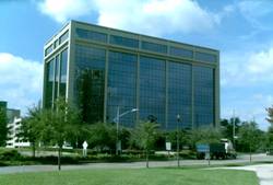 Enlarged view of image