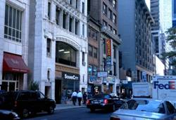 Enlarged view of image