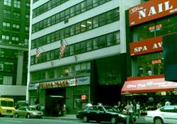 Enlarged view of image