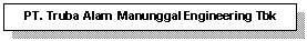 Text Box: PT. Truba Alam  Manunggal Engineering Tbk