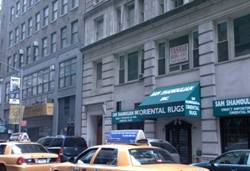 Enlarged view of image