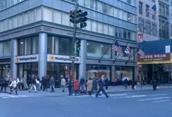 Enlarged view of image