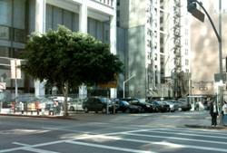 Enlarged view of image