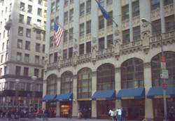 Enlarged view of image