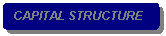 Rounded Rectangle: CAPITAL STRUCTURE