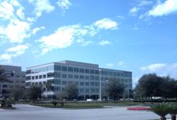 Enlarged view of image