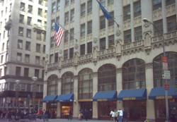 Enlarged view of image