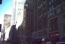 Enlarged view of image