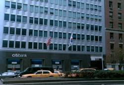 Enlarged view of image