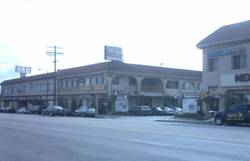 Enlarged view of image