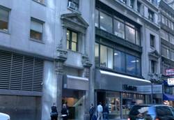 Enlarged view of image