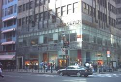 Enlarged view of image