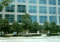 Enlarged view of image