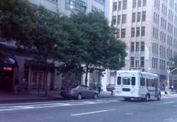 Enlarged view of image