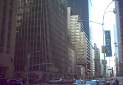 Enlarged view of image