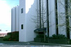 Enlarged view of image