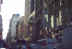 Enlarged view of image