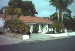 Enlarged view of image