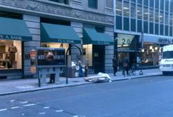 Enlarged view of image