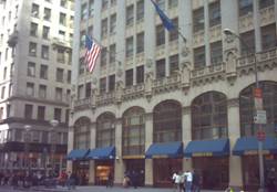 Enlarged view of image