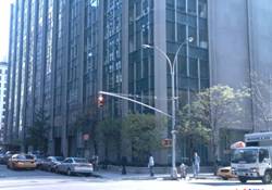 Enlarged view of image