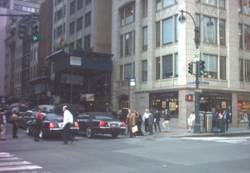 Enlarged view of image