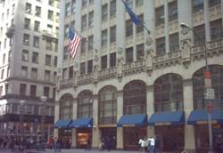 Enlarged view of image