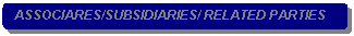 Rounded Rectangle: ASSOCIARES/SUBSIDIARIES/ RELATED PARTIES 