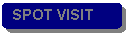 Rounded Rectangle: SPOT VISIT