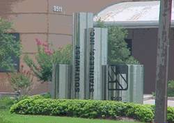 Enlarged view of image