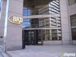 Enlarged view of image