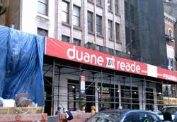 Enlarged view of image