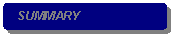 Rounded Rectangle:  SUMMARY