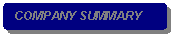 Rounded Rectangle: COMPANY SUMMARY
