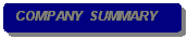 Rounded Rectangle: COMPANY  SUMMARY