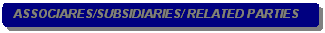 Rounded Rectangle: ASSOCIARES/SUBSIDIARIES/ RELATED PARTIES 