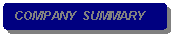 Rounded Rectangle: COMPANY  SUMMARY