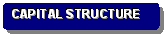 Rounded Rectangle: CAPITAL STRUCTURE