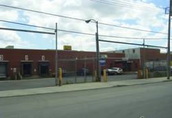 Enlarged view of image