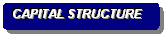 Rounded Rectangle: CAPITAL STRUCTURE