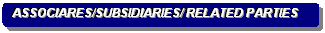Rounded Rectangle: ASSOCIARES/SUBSIDIARIES/ RELATED PARTIES 