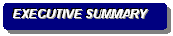 Rounded Rectangle: EXECUTIVE SUMMARY