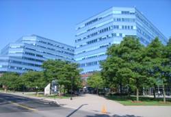 Enlarged view of image